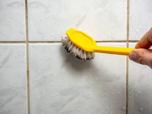 Best Commercial Mold Removal  in East Petersburg, PA