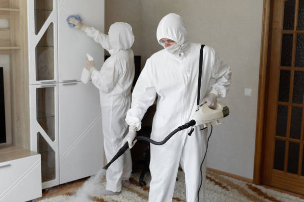Best Toxic Mold Removal  in East Petersburg, PA