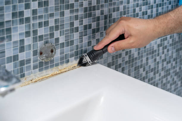 Best Local Mold Removal Service  in East Petersburg, PA